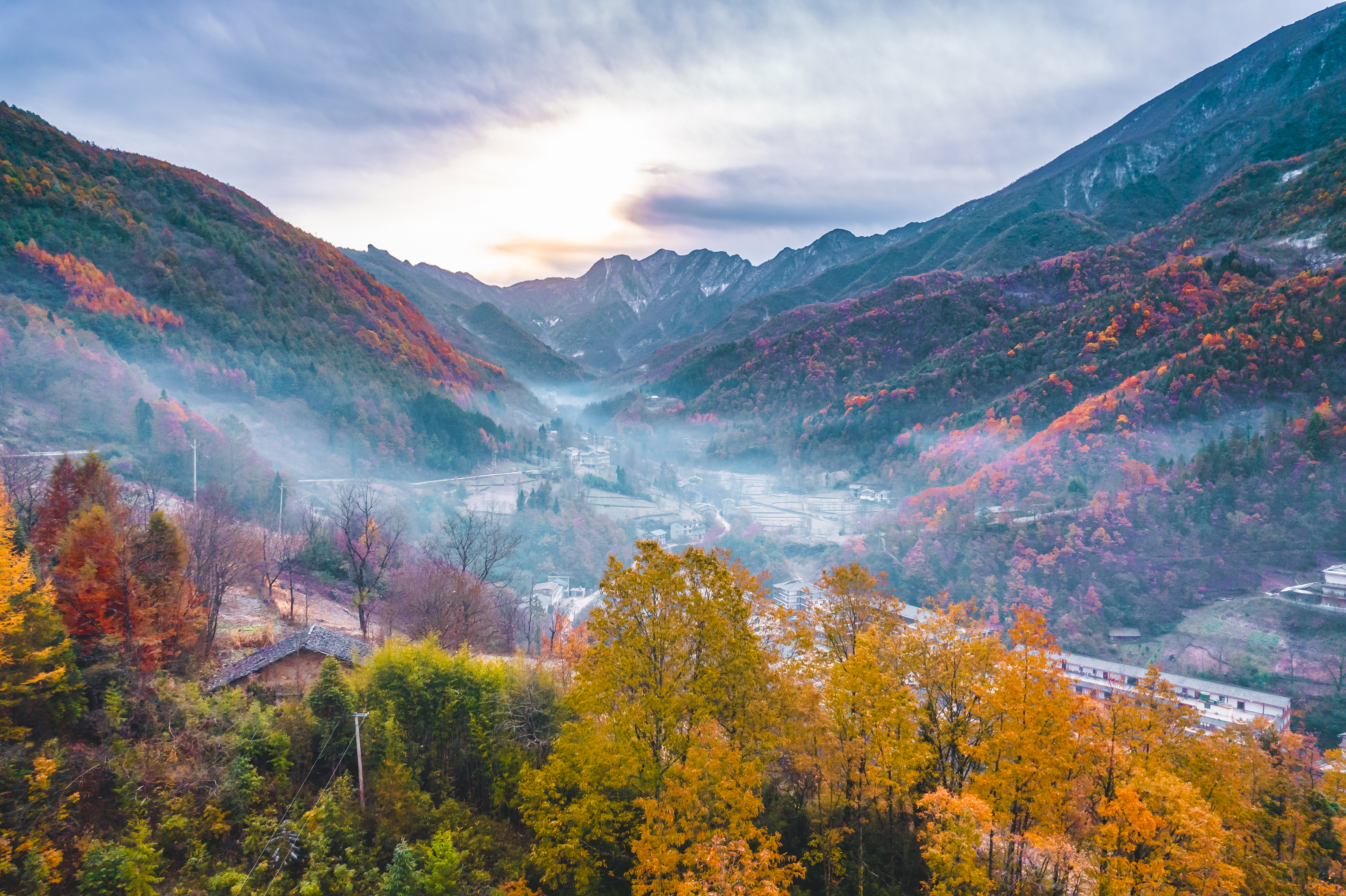陈鹏辉摄 (4).jpg