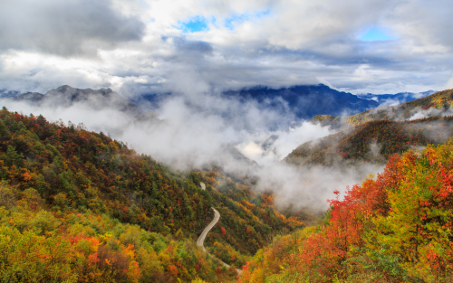 “1314”大巴山百里彩叶画廊自驾游线路