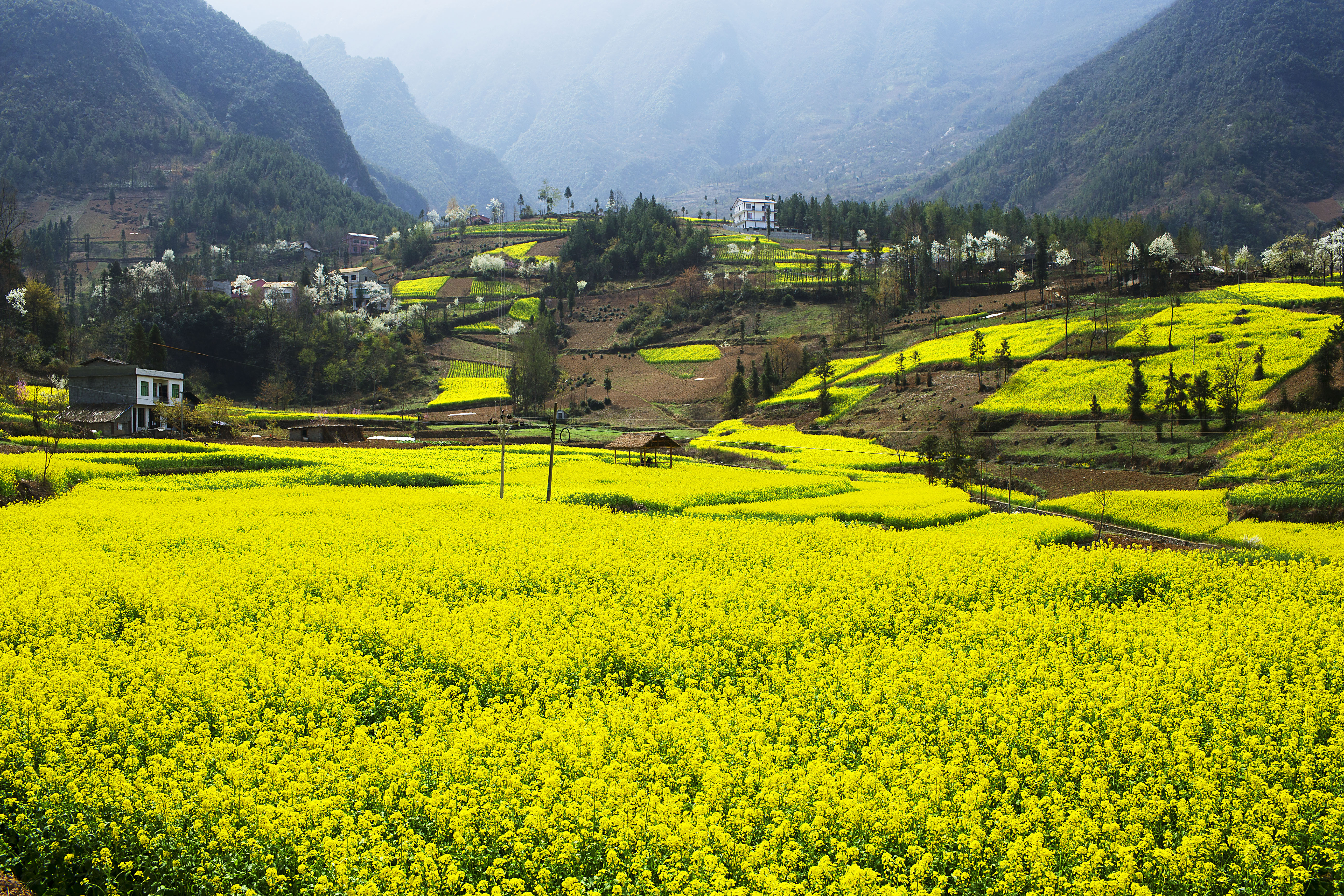 蓼乡梨坪·花彩山村-汪玉平摄.jpg
