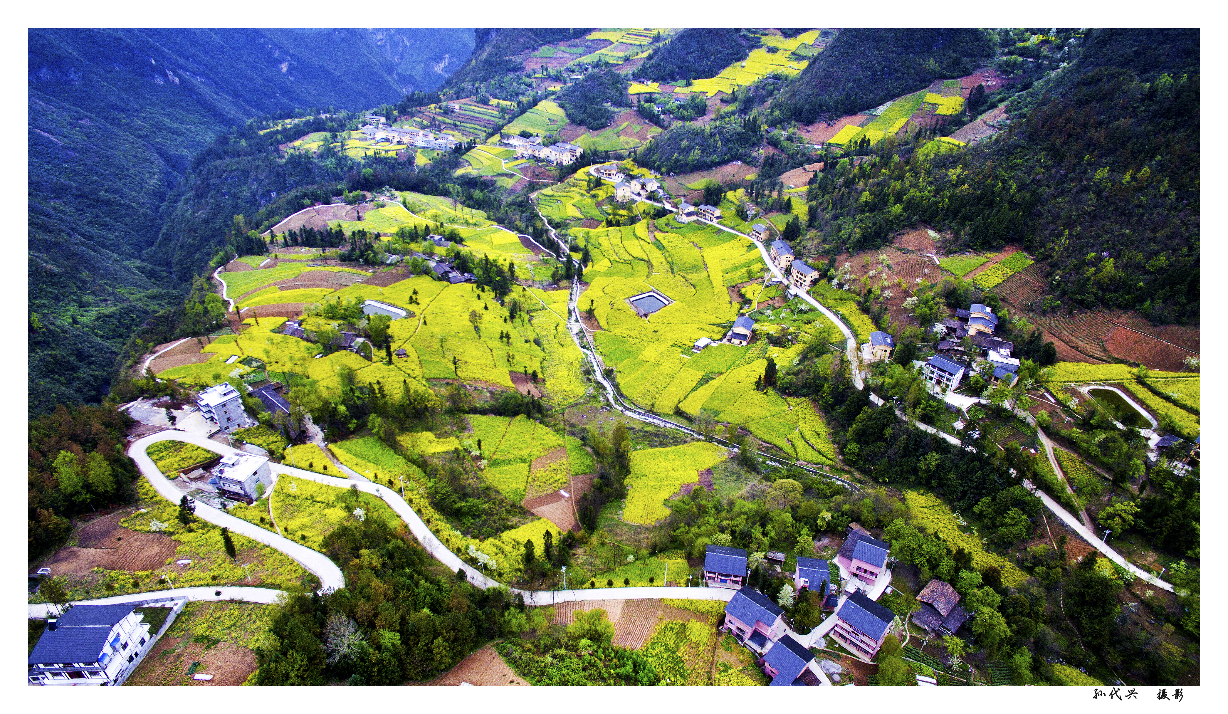 蓼乡梨坪-孙代兴摄.jpg