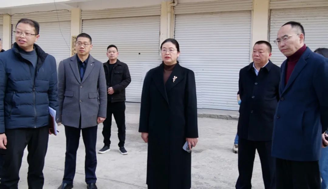 王春梅带队调研地质灾害防治工作