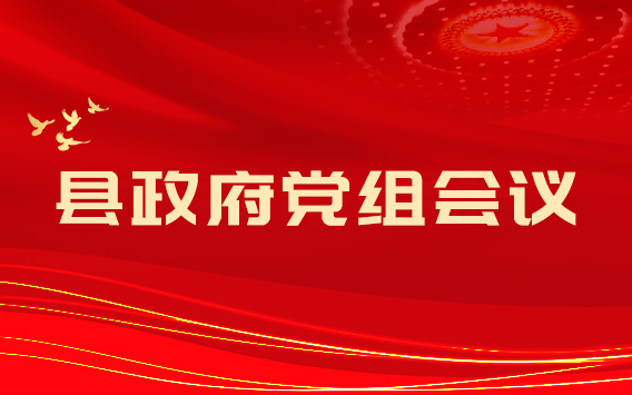 县政府党组2025年第8次（扩大）会议召开