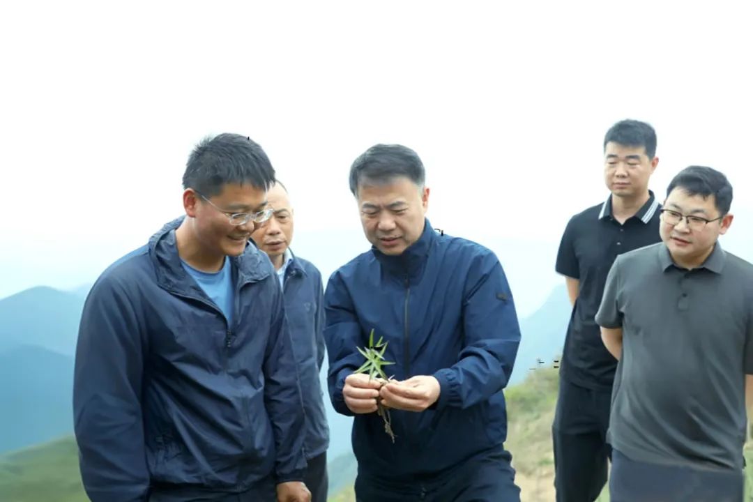张继军带队到鸡鸣乡督导调研巩固衔接、森林防灭火、防汛抗旱等工作