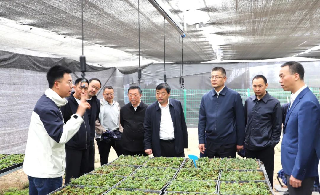 镇坪县人大常委会到我县考察调研
