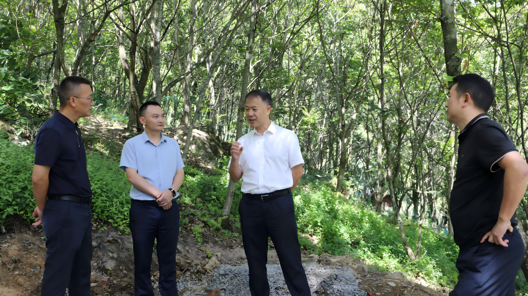 张继军带队到河鱼乡调研深化集体林权制度改革工作