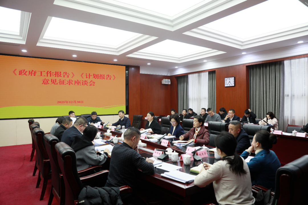 我县召开2026年《政府工作报告》意见征求座谈会
