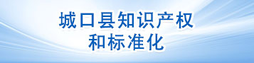 知识产权和标准化