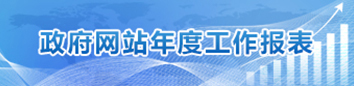 政府网站年度工作报表
