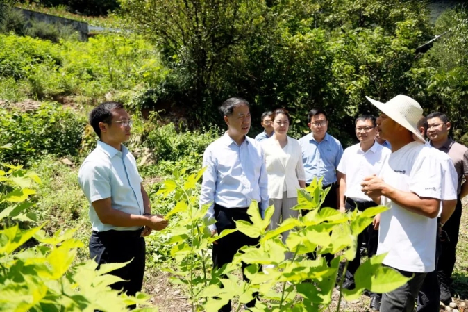 东安镇人民政府_城口县人民政府