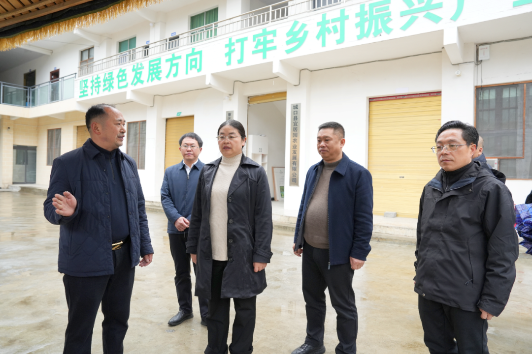 王春梅带队到咸宜镇调研